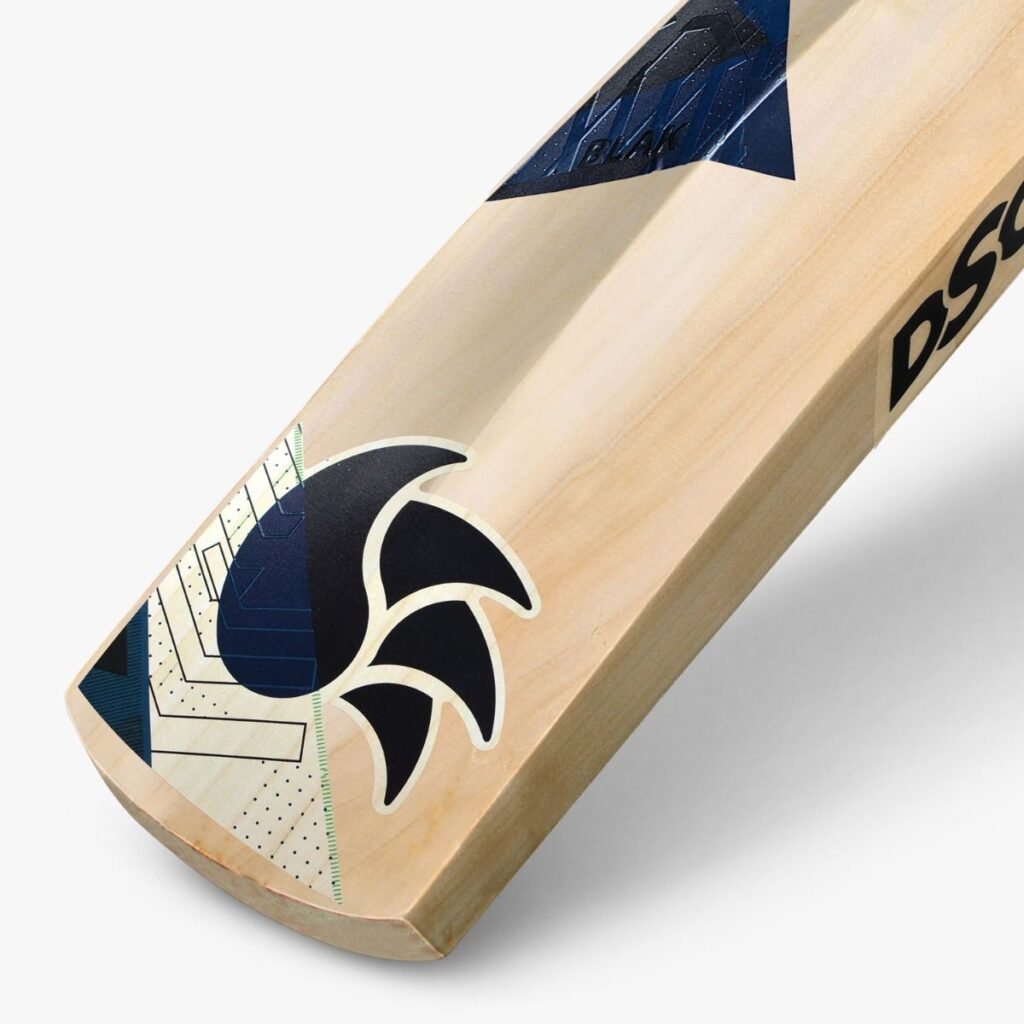 dsc-blak-kashmir-willow-cricket-bat-back-toe_5