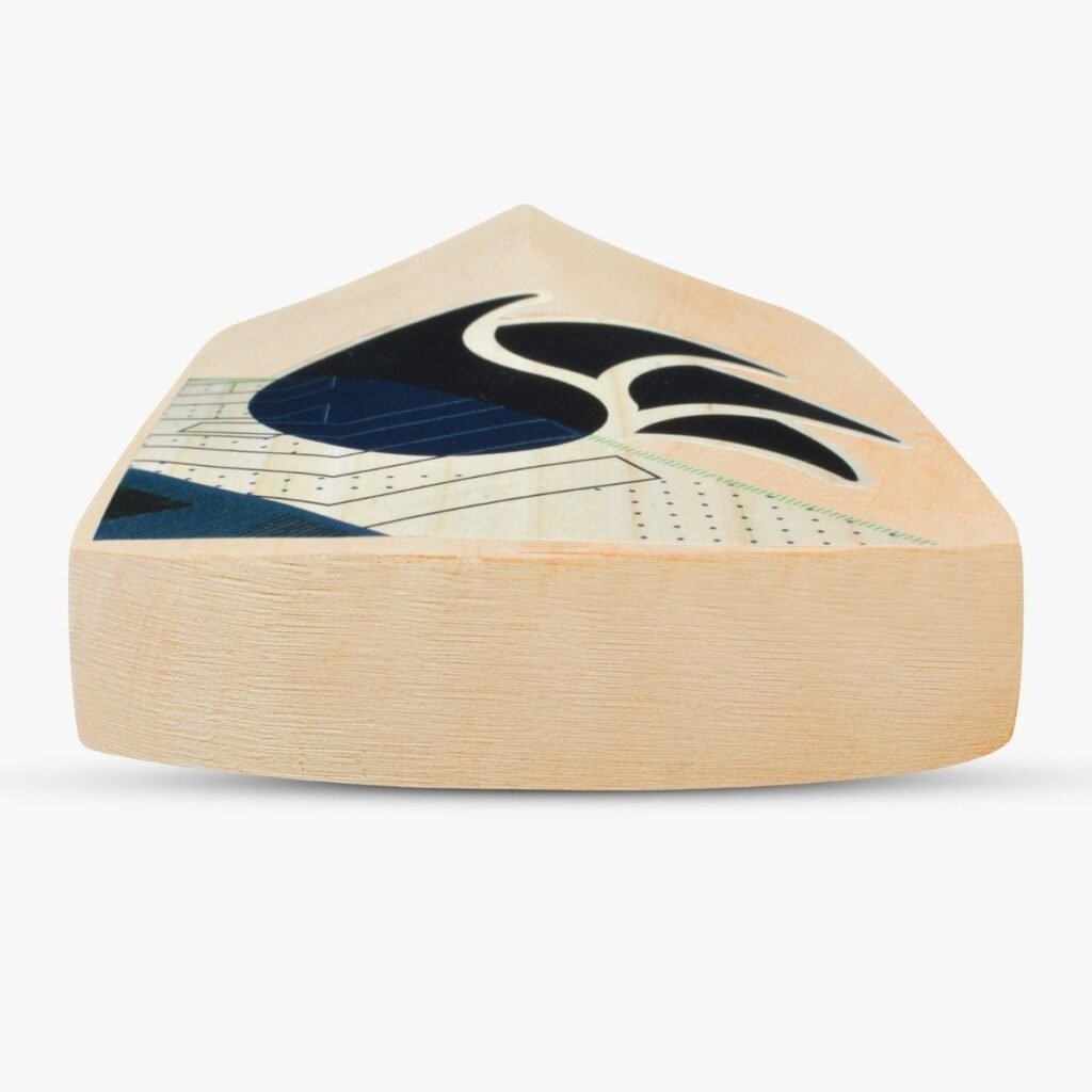 dsc-blak-kashmir-willow-cricket-bat-toe_5