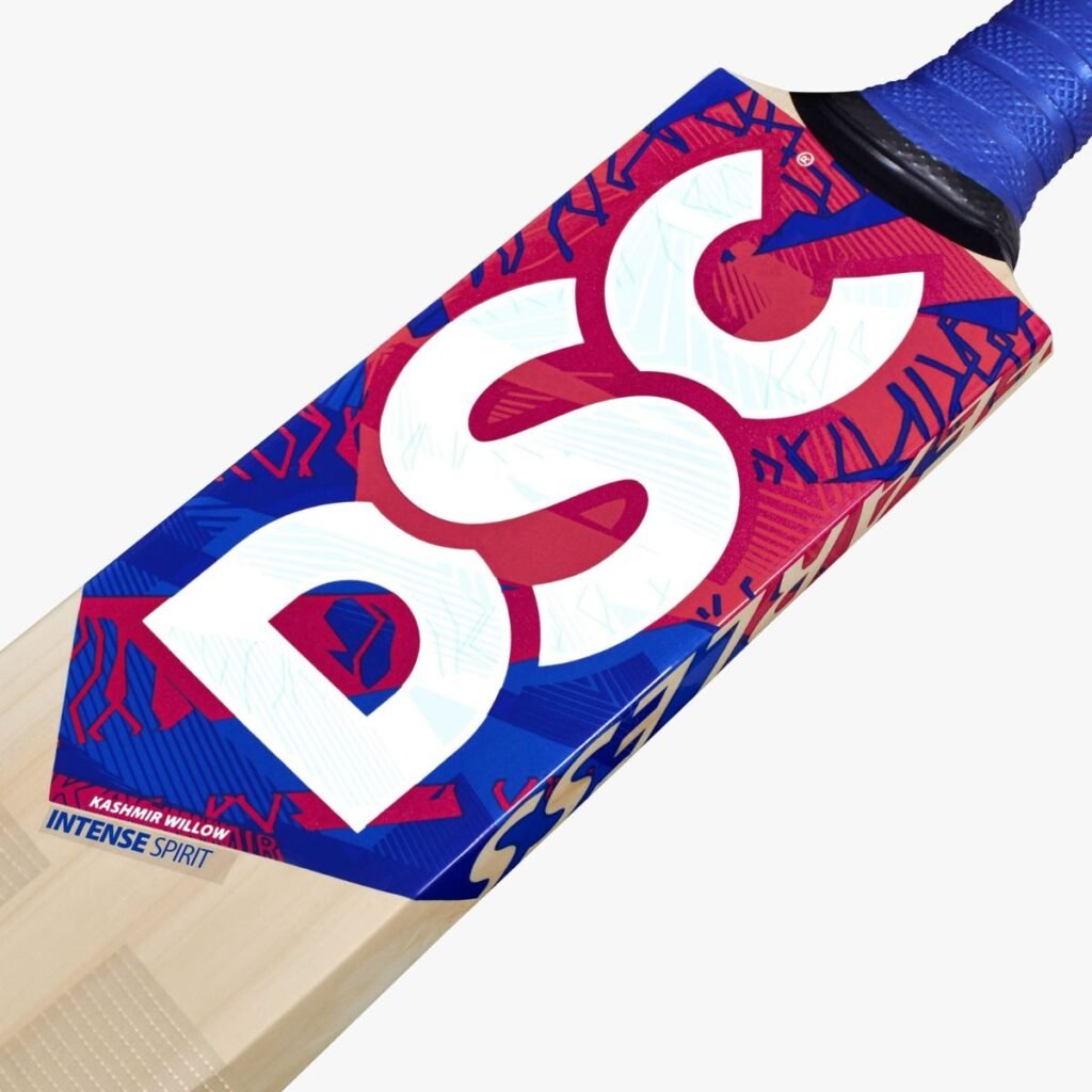 dsc-intense-spirit-kashmir-willow-cricket-bat-3