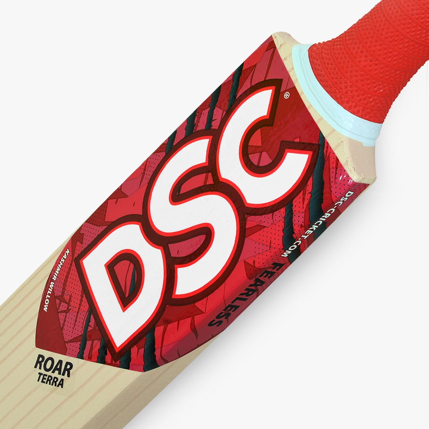 roar-terra-budget-cricket-bat-3_2
